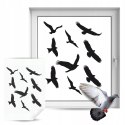 NAKLEJKI ODSTRASZAJĄCE PTAKI NA SZYBĘ WITRYNĘ - DUŻY ZESTAW 9 SZTUK ZESTAW