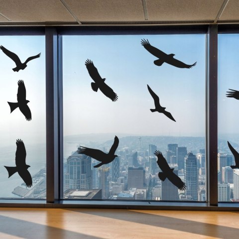 NAKLEJKI ODSTRASZAJĄCE PTAKI NA SZYBĘ WITRYNĘ - DUŻY ZESTAW 9 SZTUK ZESTAW